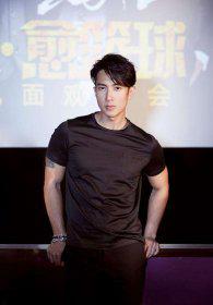 吴尊老婆林丽莹家世 老婆是文莱公主么为什么不露面