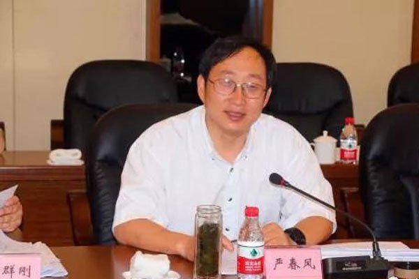 严书记是什么身份 女儿事件:夫人一句话说倒台了