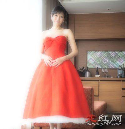 万绮雯甄子丹分手原因 不会生孩子是因为甄子丹