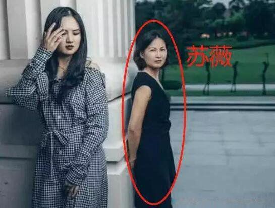 苏薇简历个人资料简介 任正非娶了80后苏薇吗