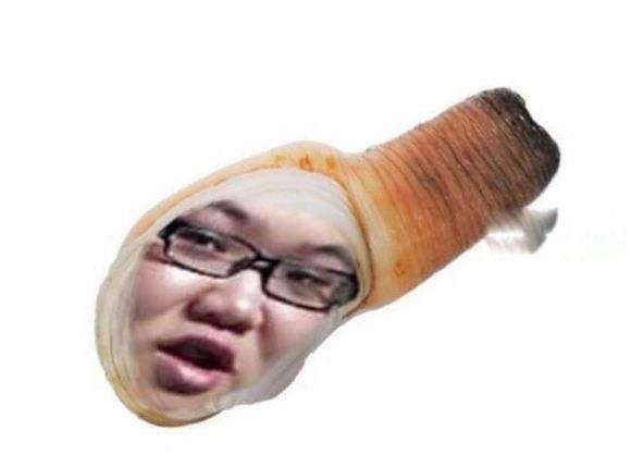 象拔蚌是什么东西 为什么象拔蚌长得那么像男生的