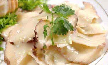 象拔蚌是什么东西 为什么象拔蚌长得那么像男生的