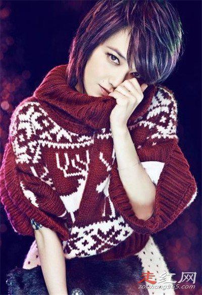 范晓萱和刘维是什么关系 因为你是范晓萱原唱是谁