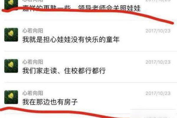金苹果幼儿园严书记事件 被身边人搞没了前途