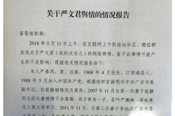 金苹果幼儿园严书记事件 被身边人搞没了前途