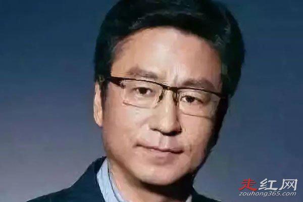 白岩松为什么离开央视 被央视解雇了吗