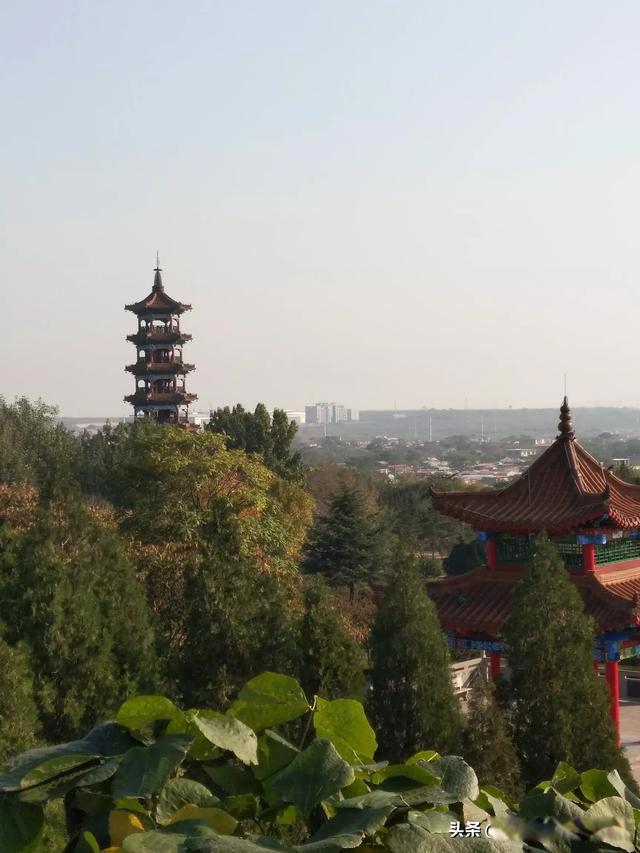 两对夫妻去旅行开一间房子 最荒唐的省钱