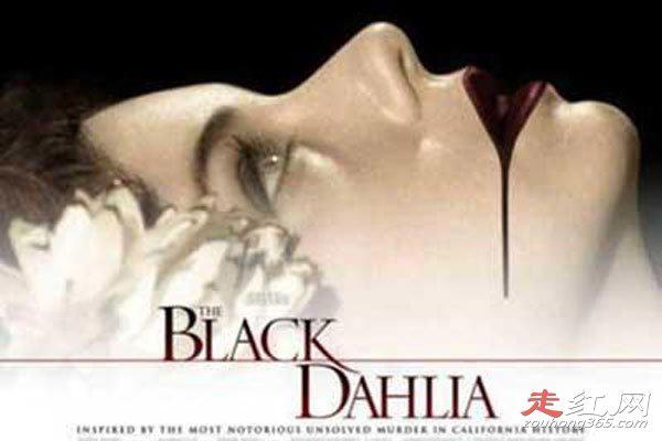 黑色大丽花真实案件现场图 惨案已破了吗