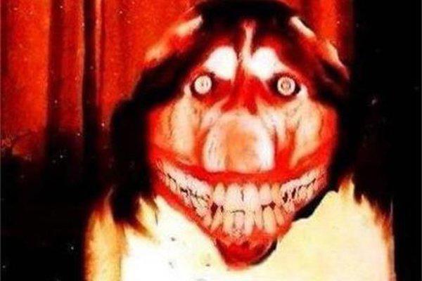 微笑狗图片看了会死吗 看过之后表示还活着