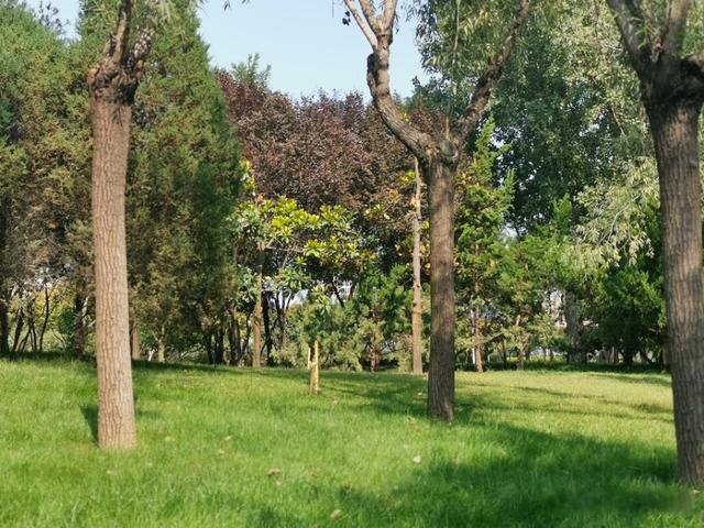 经济逆境中普通人的机会在哪里 投资什么都不好使