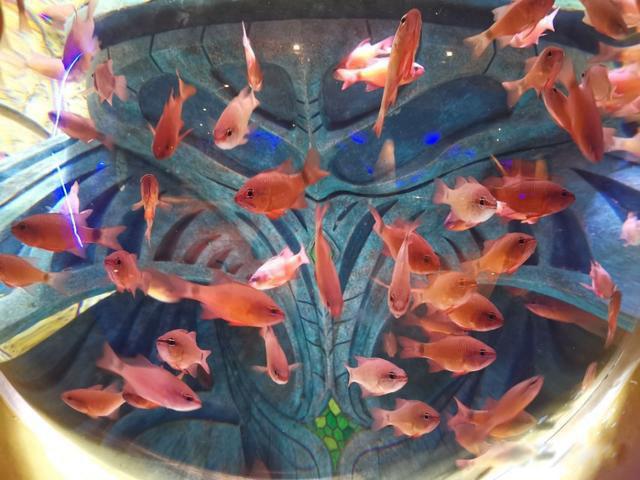 经济逆境中普通人的机会在哪里 投资什么都不好使