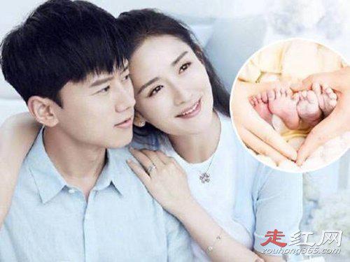 谢娜个人资料简介 是做的试管婴儿吗