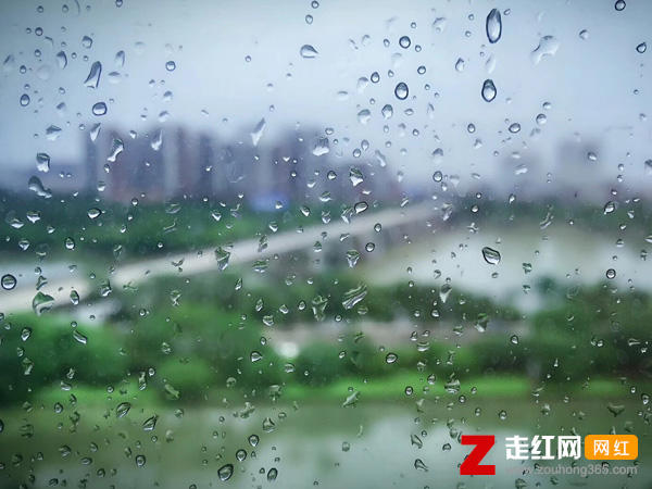 夜凉渐冷心似水是什么歌，爱的暴风雨歌词分享