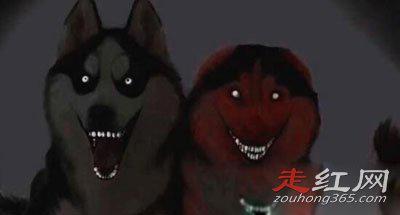 微笑狗恐怖事件死了多少人 身边有一只手怎么回事
