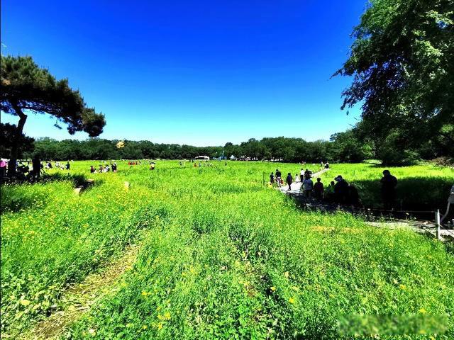天地不仁以万物为刍狗,圣人不仁以百姓为刍狗 原文出处及意思