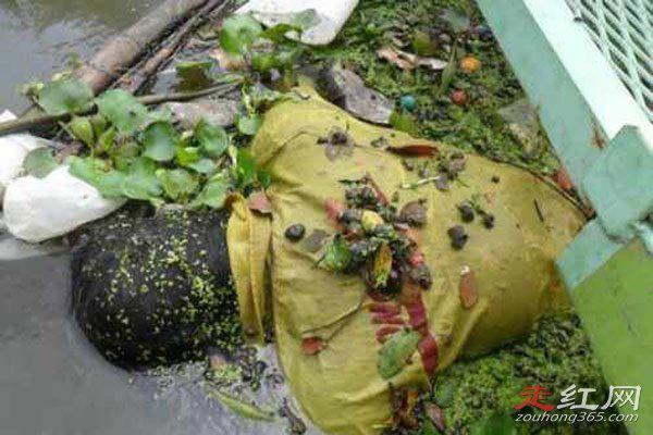 巨人观图片吓人原图什么样 法医为什么害怕巨人观