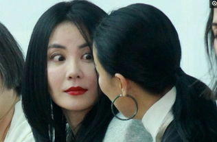 李亚鹏王菲什么时候离的婚 为什么和王菲分开