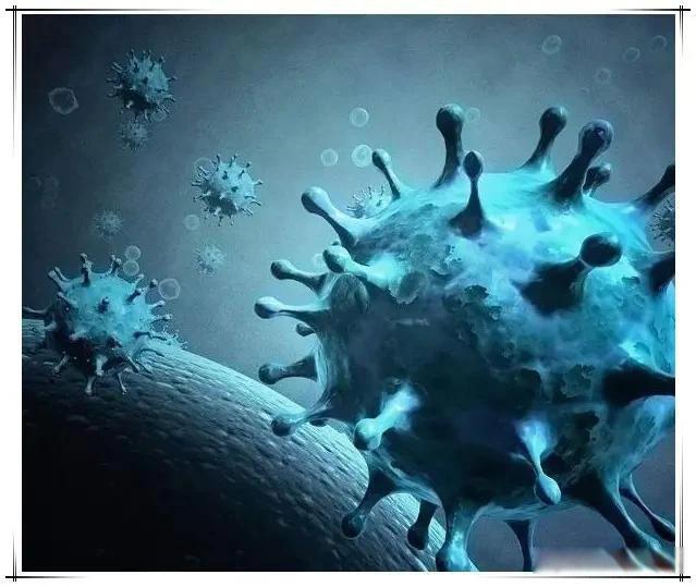 方方日记英文版出版社 西方某些媒体又有文章可做了