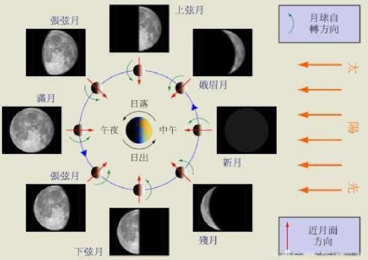 月相变化图及名称 一个月就是根据月亮变化得来的