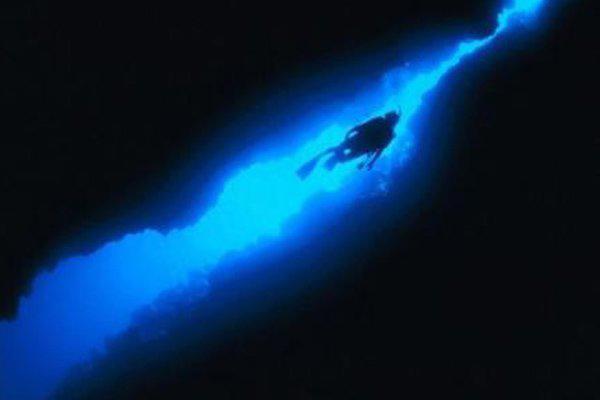 深海恐惧症慎入图片 勾起痛苦的回忆无法自拔