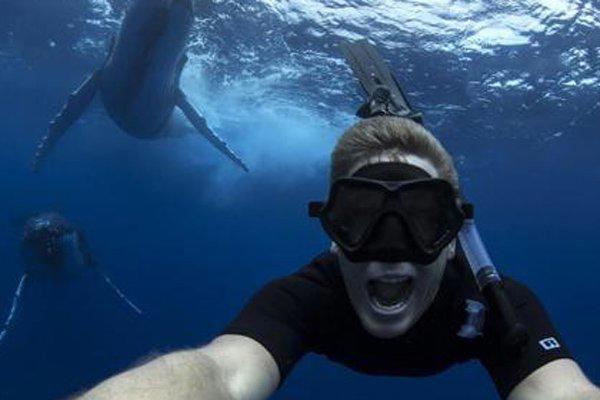 深海恐惧症慎入图片 勾起痛苦的回忆无法自拔