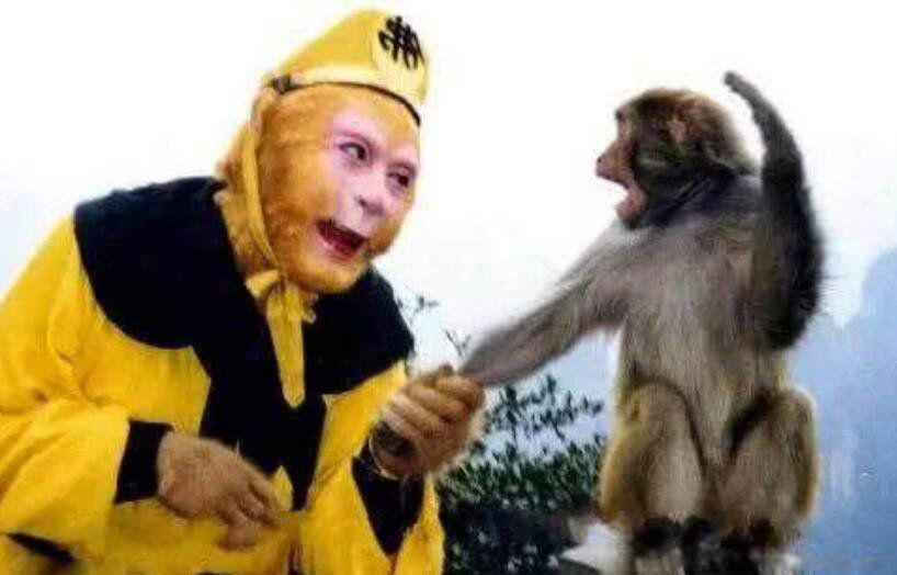 六小龄童突然宣布哀讯是真的吗 现状还活在人间吗