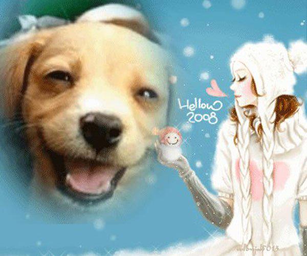 微笑狗五秒动态原图 胆小者慎入好奇害死猫