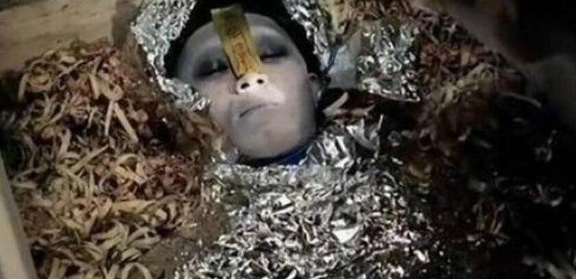 1995年成都的僵尸事件是真是假 真相究竟是怎样的