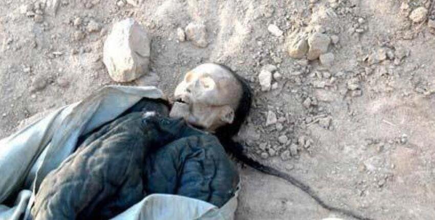 1995年成都的僵尸事件是真是假 真相究竟是怎样的