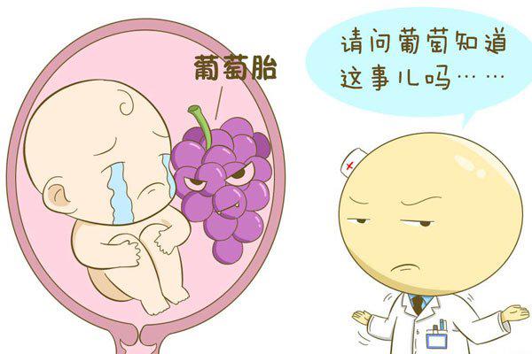 葡萄胎生下来图片 有一种特例有可能发生这种情况