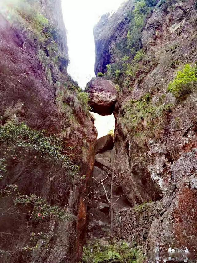 雁荡山旅游攻略 雁荡山景点介绍