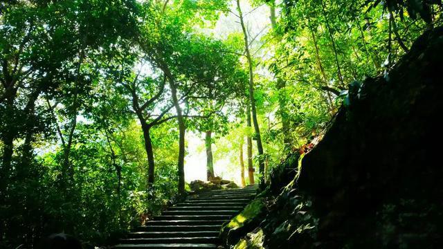 雁荡山旅游攻略 雁荡山景点介绍