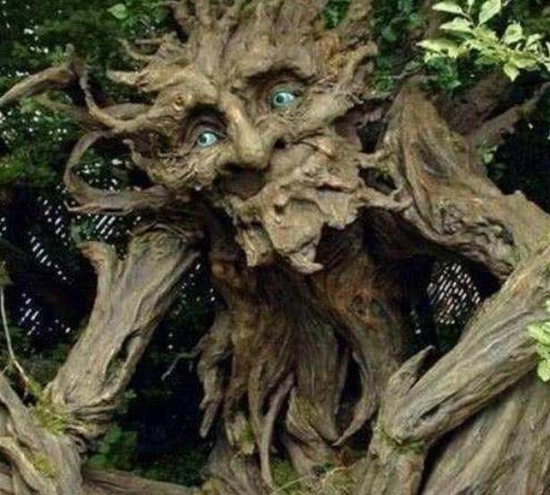 食人树吃人是真的吗 印尼吃人树是怎么吃掉人的