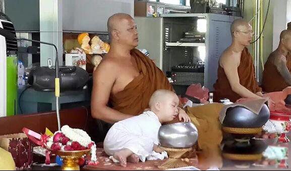 泰国小和尚打瞌睡图片 小沙弥Nongkorn为什么出家