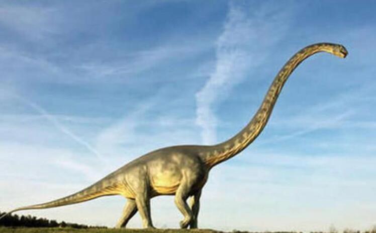 世界上最大的恐龙排名前五 最大的恐龙有多重有多长