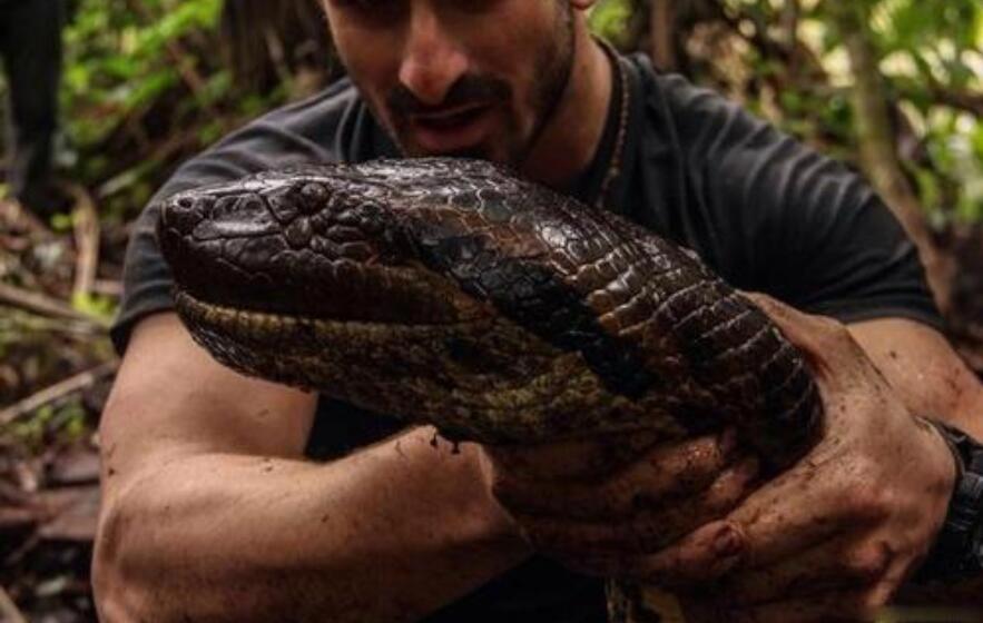 马来西亚巨蛇事件 30米的龙头巨蟒是真是假