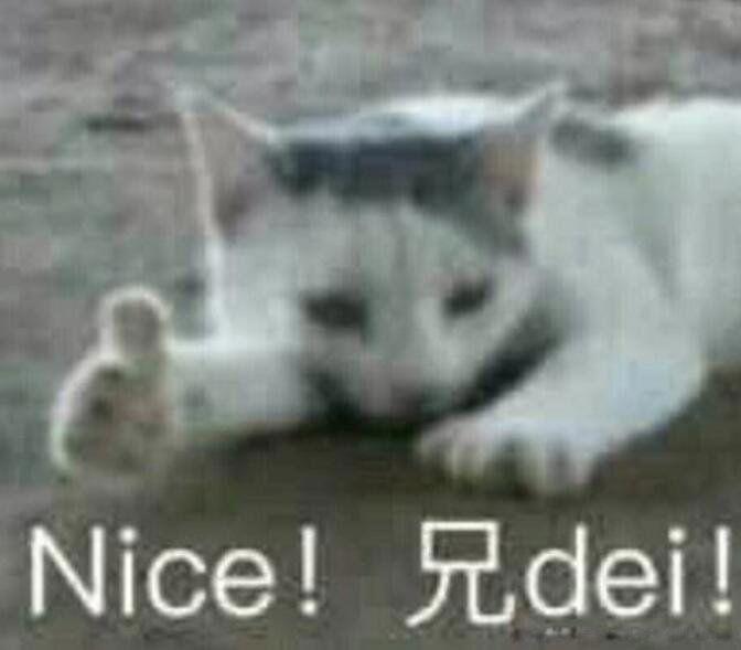 网络用语nice什么意思 中文翻译更多的是称赞对方