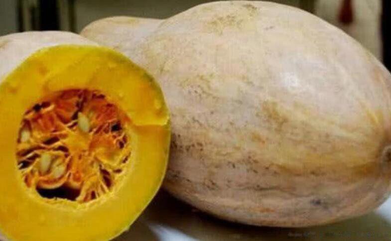 北瓜是什么瓜 有冬瓜西瓜南瓜为什么没有北瓜
