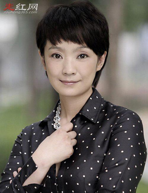 王海燕个人资料简介 王志飞和王海燕是什么关系