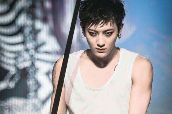 黄子韬419事件是真的吗 为什么这么多人攻击他