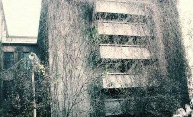 劲松小区灵异事件 鬼楼出现恐怖的闹鬼事件真相揭秘