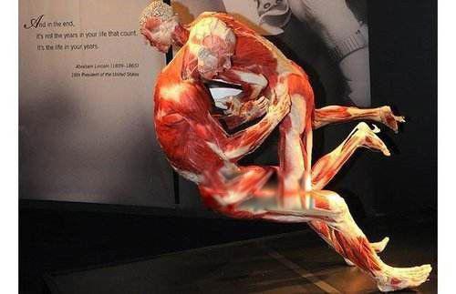 尸体工厂是什么意思 生物塑化技术的过程工作是怎么样