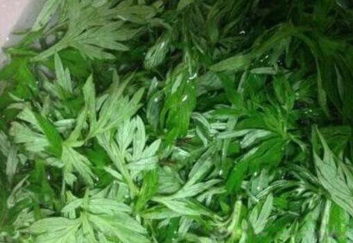 荨麻疹有什么治疗方法 最简单自愈的三个土方法