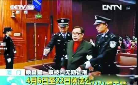 杨钰莹为什么叫岗岗 最初的名字叫杨岗丽