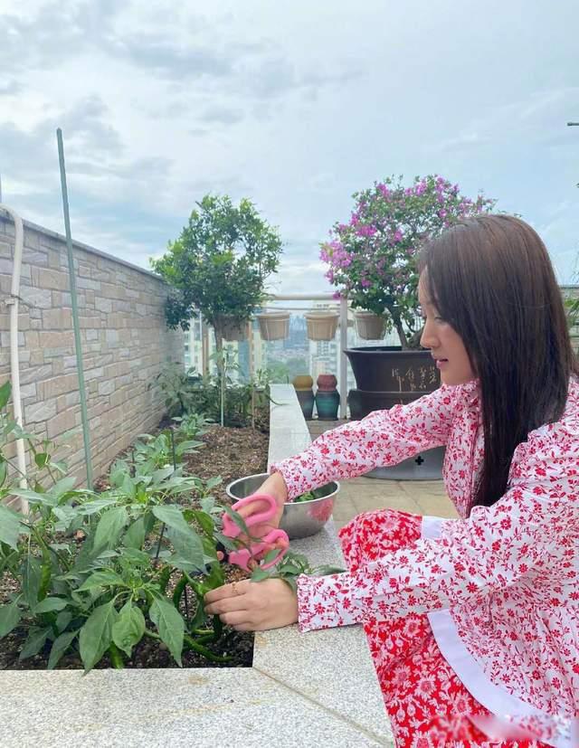 杨钰莹为什么叫岗岗 最初的名字叫杨岗丽