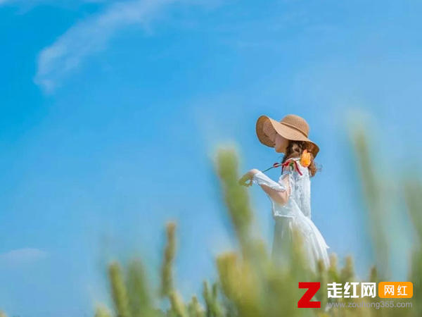 有谁能真正明白你的心是什么歌，谁能明白你的心歌曲介绍