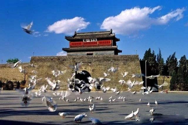 东临碣石的碣石是什么意思 指的是哪里