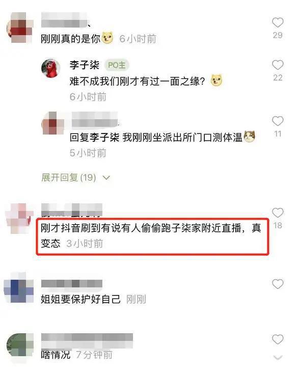 李子柒事件是怎么回事 最近现状怎么样