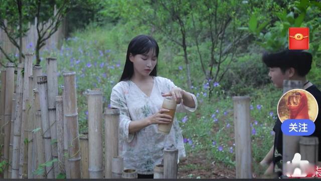 李子柒事件是怎么回事 最近现状怎么样