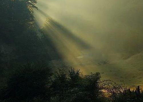 世界上最恐怖的森林排名前十 日本的青木原树海排第一